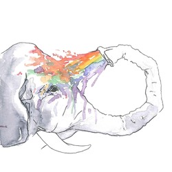 Gökkuşağı fil duşu / Elephant shower Rainbow