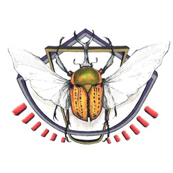 Afrika Çiçek Böceği / African Flower Beetle