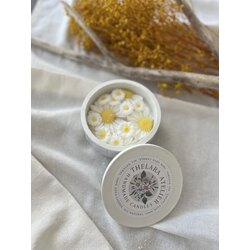 Daisy büyük kapaklı