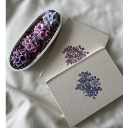 Ortanca defterli paket
