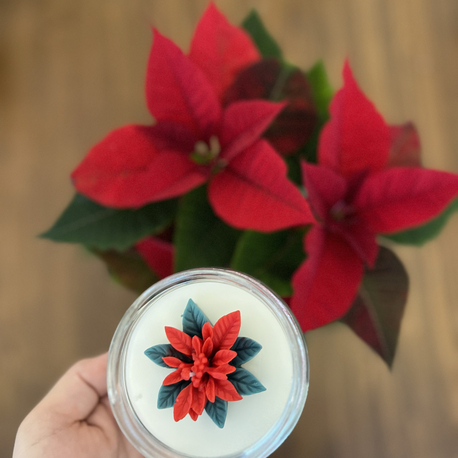 Poinsettia saksı çiçek ve Poinsetia mum
