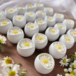 Daisy