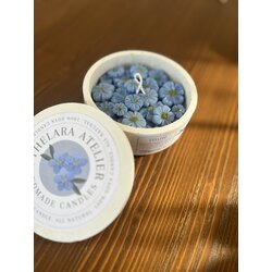 Forget-me-not
