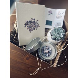 Öğretmenler Günü Kutusu