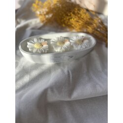 Daisy candle gondol