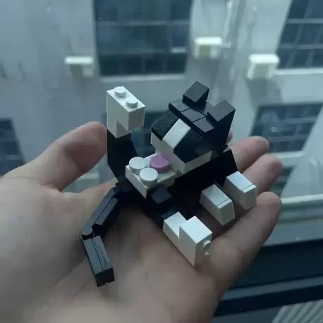Lego Bricks Kedi Komik 