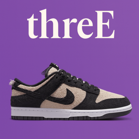 NIKE DUNK LOW RETRO SE