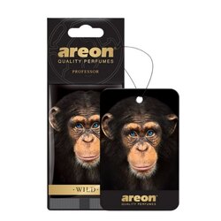 Areon Kağıt Oto Araç Kokusu 
