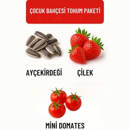 Çocuk Bahçesi Tohum Paketi ( Ata Tohumu)