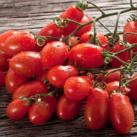 10+ Adet San Marzano Sosluk İtalyan Domatesi Tohumu- Sırık Tipi