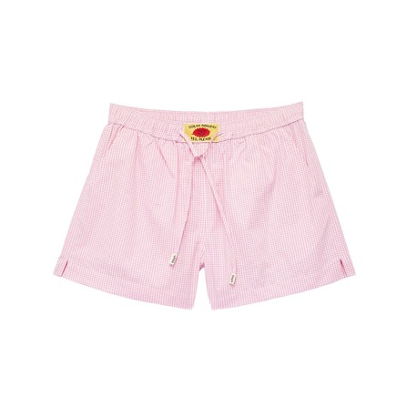 Solar Check Shorts