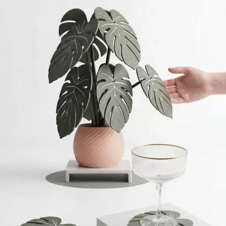 Monstera Bardak Altlığı