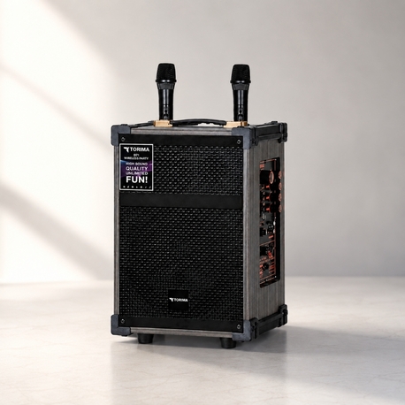 ÇEKÇEKLİ ÇİFT KARAOKELİ WİRELESS SPEAKER ( D 46 )