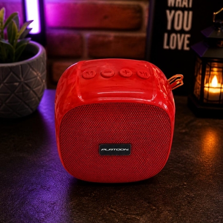 WİRELESS SPEAKER (4690)