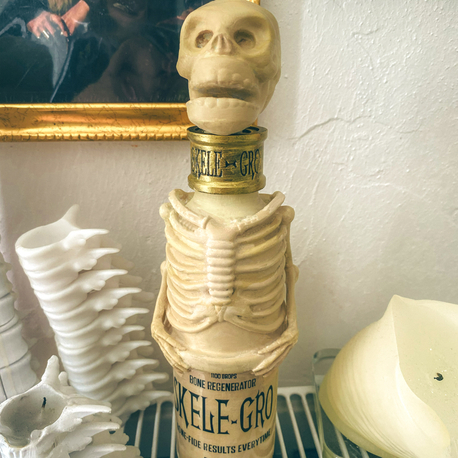 Harry Potter Skele-gro