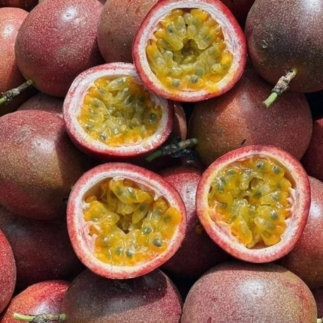Dalından Taze Pasiflora(Çarkıfelek) Meyvesi 500Gr