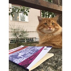 Ey Aşk Narsist Komün-İmzalı Kitap