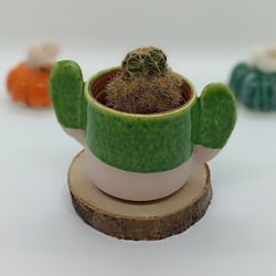 Kaktüs Tasarım Yeşil El Yapımı Seramik Dekoratif Sukulent/Kaktüs Saksı