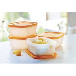 Tupperware Alaska Set