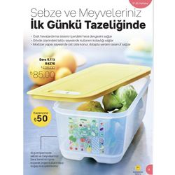 Tupperware Sera