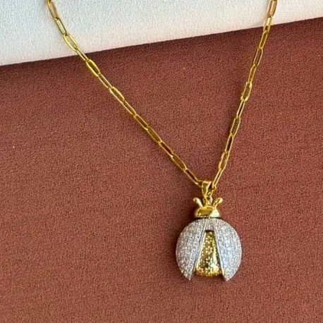 UĞUR BÖCEĞİ ÇELİK KOLYE