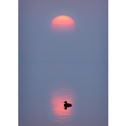 Elmabaş Patka 40x60 Fotoğraf Baskı