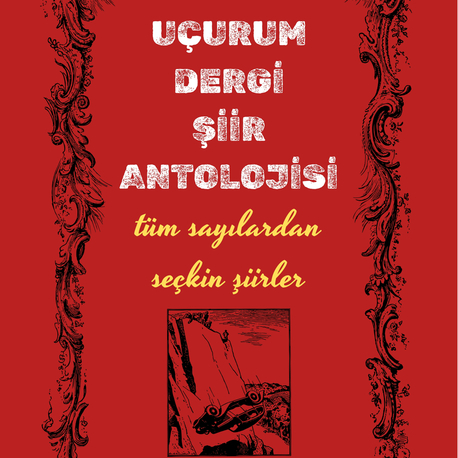 ÖZEL SEÇKİ ŞİİR ANTOLOJİSİ- ( 2 adet ve üzeri siparişlere poster hediyeli)