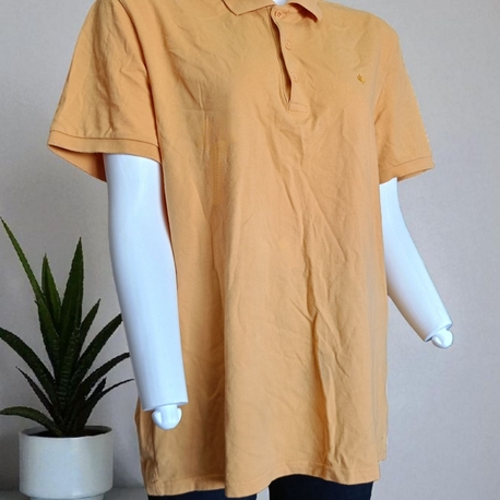 Erkek Polo T-shirt