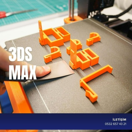3DS MAX