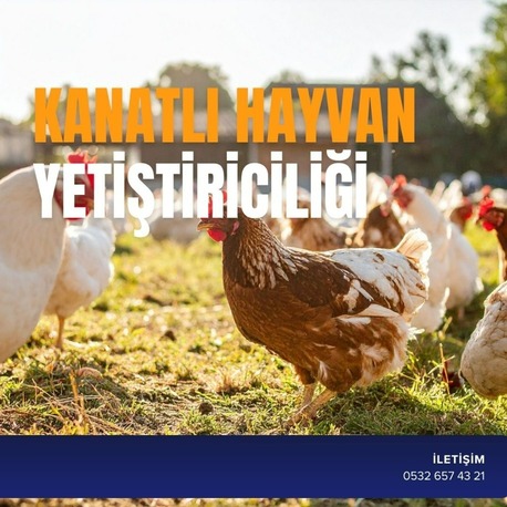 KANATLI HAYVAN YETİŞTİRİCİLİĞİ