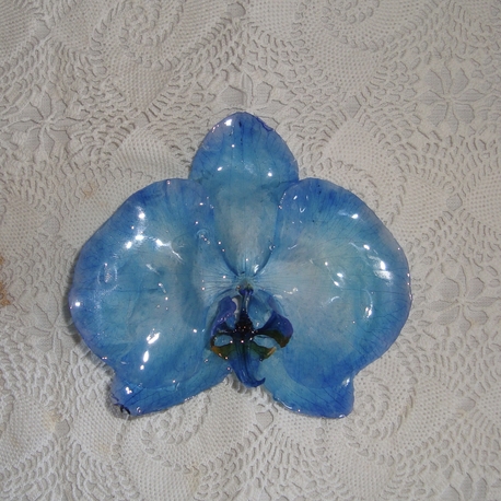orchid hair clip