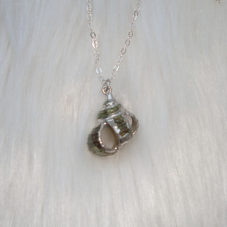 shell cage