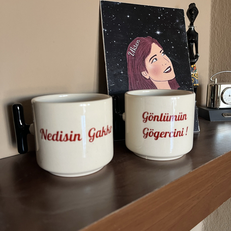 Nedisin Gakko Gönlümün Gögercini Kupa