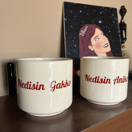 Nedisin gakko nedisin aniko ikili fincan 