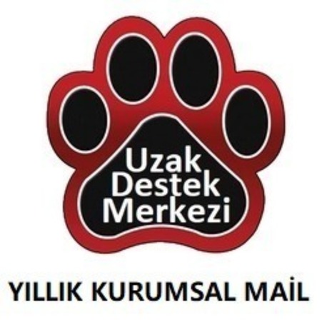 Kurumsal Mail Hizmeti