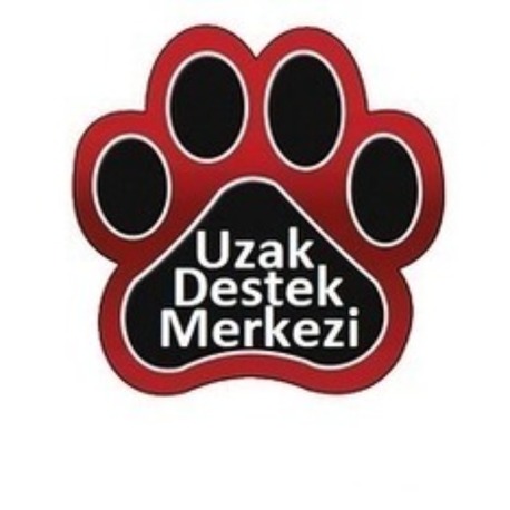 Uzak Destek Bedeli