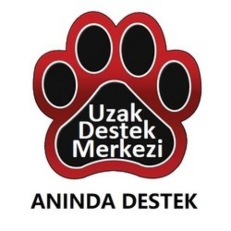 Anında Uzak Destek