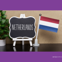 Hollanda'da Üniversite Başvuru Süreçleri