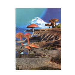 Shroom land