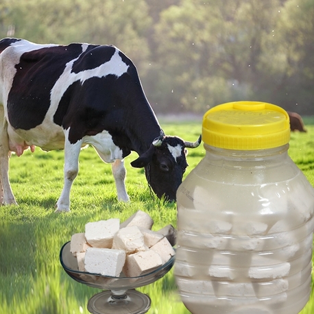 Ayran Çökeleği 1kg