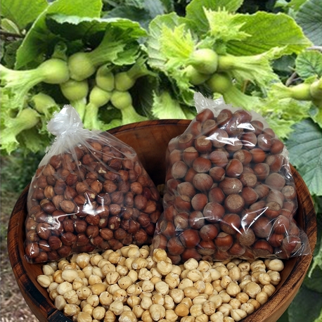 Kavrulmuş fındık 500 Gr.
