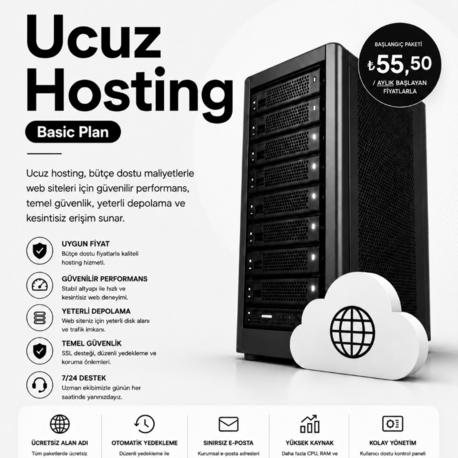 Basic Hosting Plan | Aylık