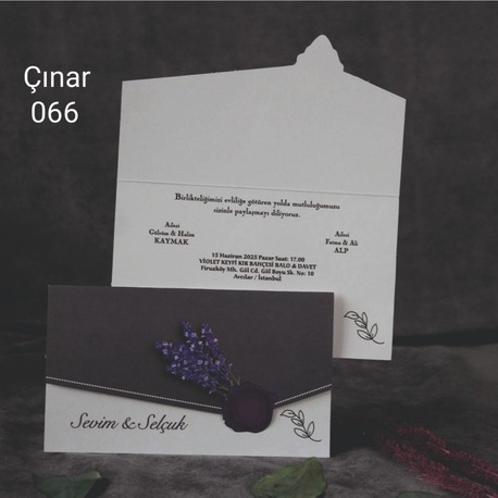 ÇINAR 066