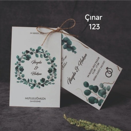 ÇINAR 123 (ZARFSIZ)