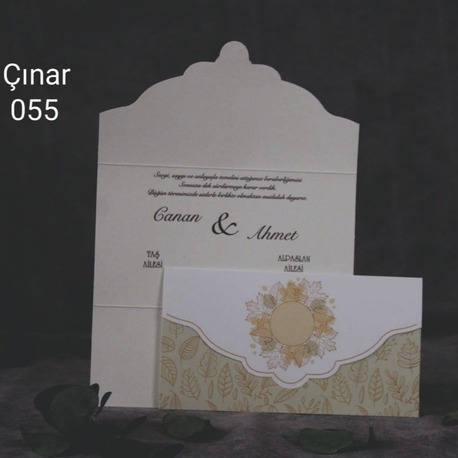 ÇINAR 055
