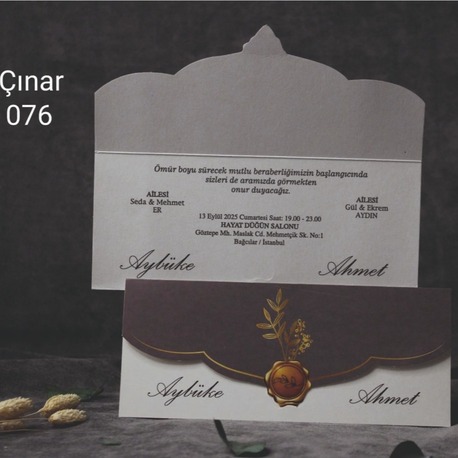 ÇINAR 076