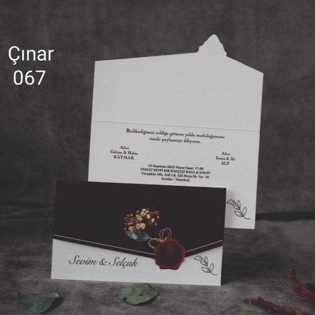 ÇINAR 067