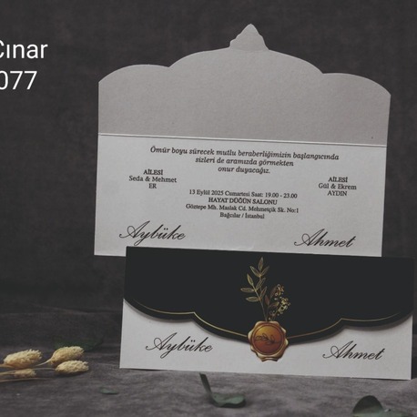 ÇINAR 077