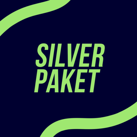 SİLVER LOGO PAKETİ