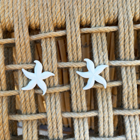 Asteri-G